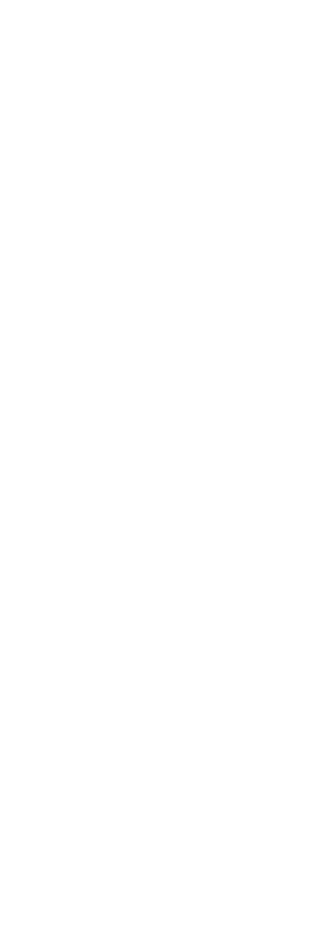 Decorative shape