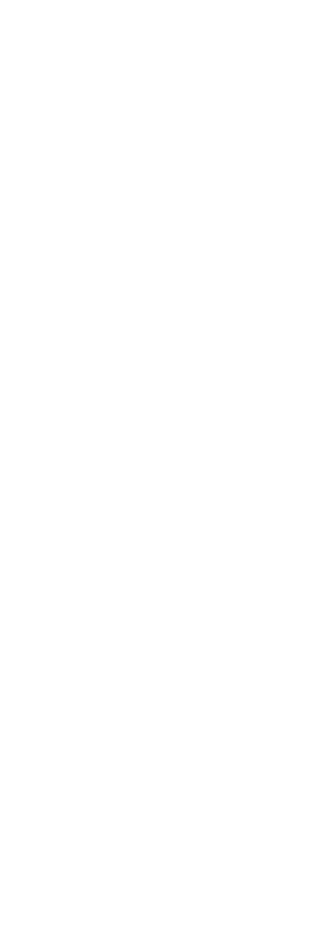 Decorative shape